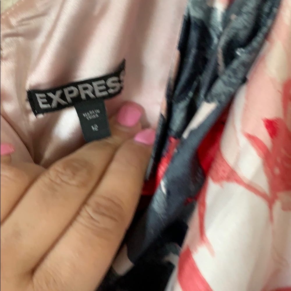 Express Dress - Picture 3 of 4